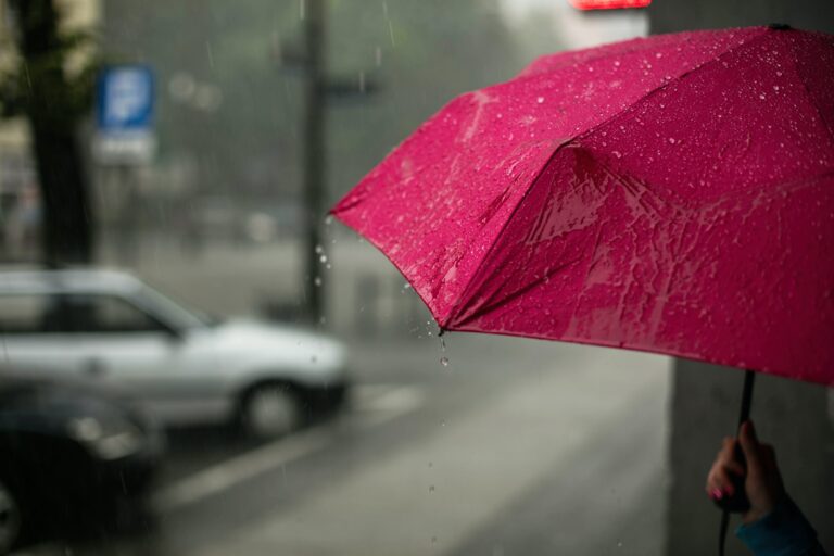 Paraguas y chubasqueros: mejores artículos para otoño