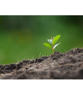 Usar el green marketing en tu empresa
